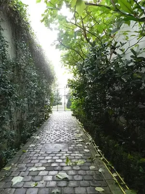 Dnevna soba