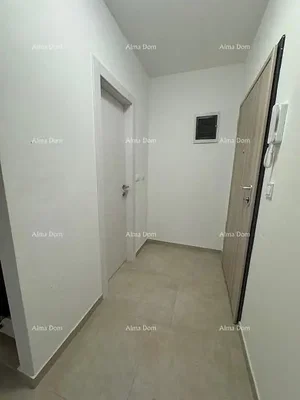 أخرى