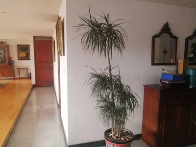 غرفة معيشة