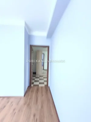 Остало