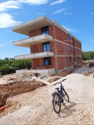 Diğer