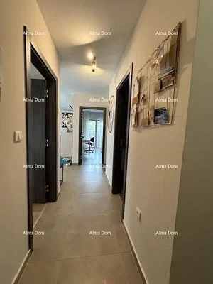 Diğer