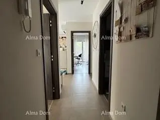 Diğer