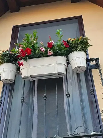 Хол