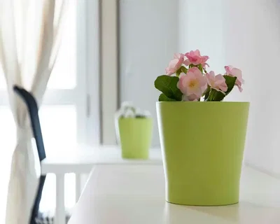 غرفة معيشة