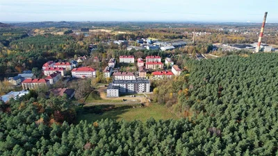 Остало