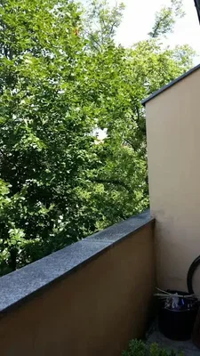 Хол