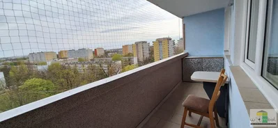 Остало