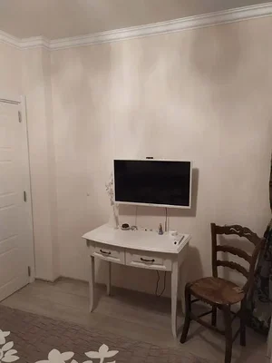 Diğer