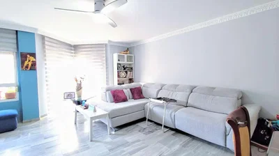 Diğer