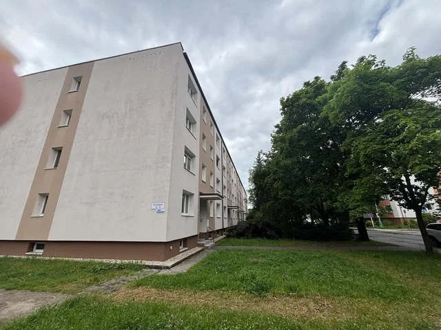 Ostatní