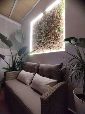 Diğer