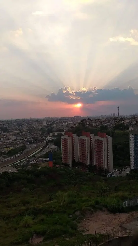 Diğer
