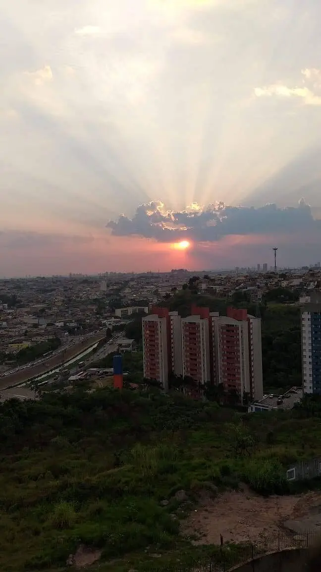 Diğer