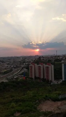 Diğer