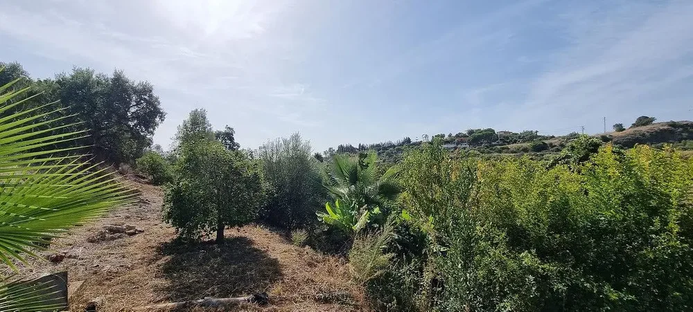 Ostalo