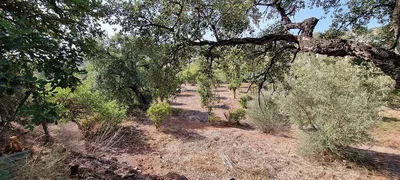 Ostalo