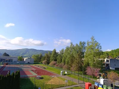 Ostatní