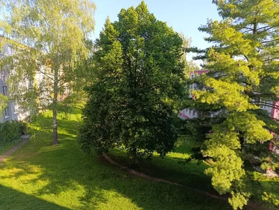 Ostatní