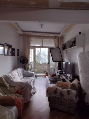 Diğer