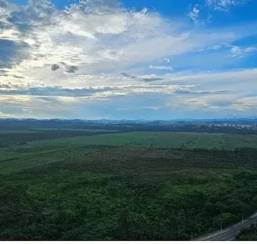 Остало