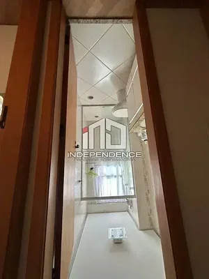 Остало