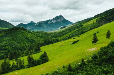 Ostalo