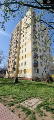 Остало