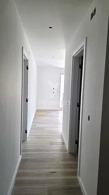 Diğer