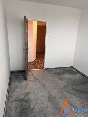 Остало