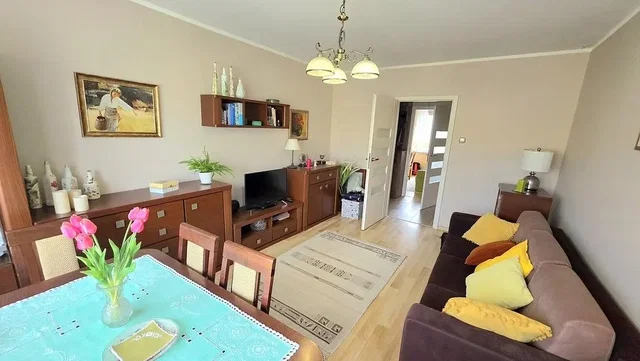 Diğer