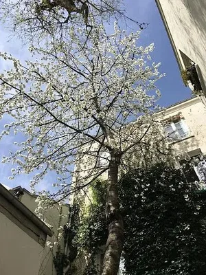 Salón