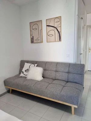 Diğer