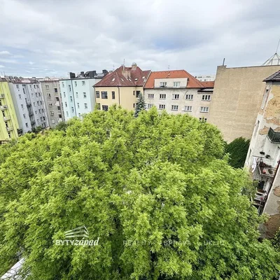 Ostatní