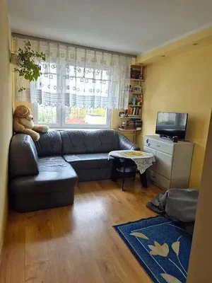 Diğer