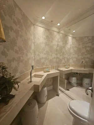 Diğer