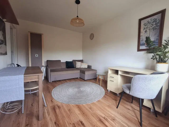 Diğer