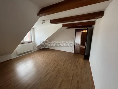 Ostatní