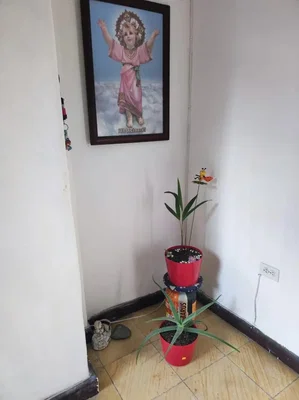Wohnzimmer