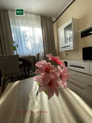 Dnevni boravak