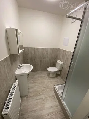 Ostatní