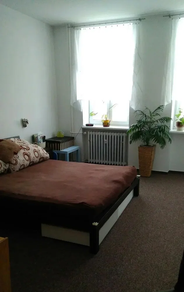 Diğer