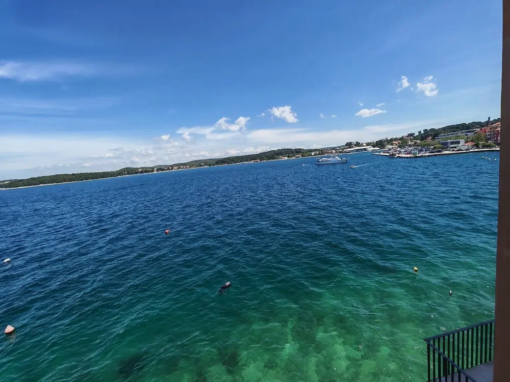 Ostatní