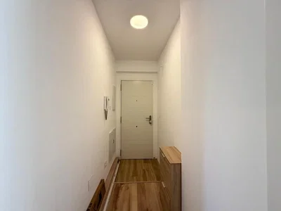 Diğer