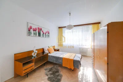Diğer