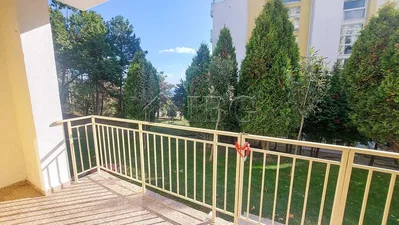 Diğer