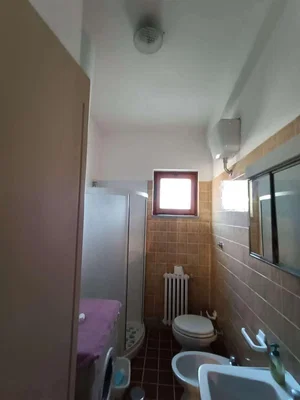 Diğer