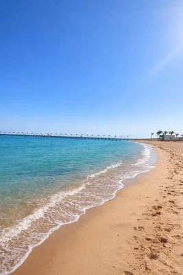 غرفة معيشة