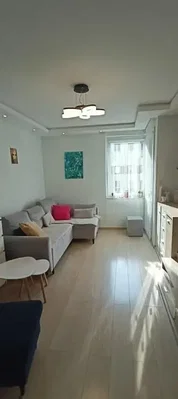 Diğer