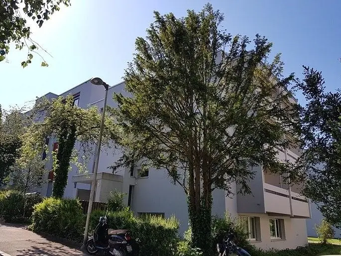Soggiorno